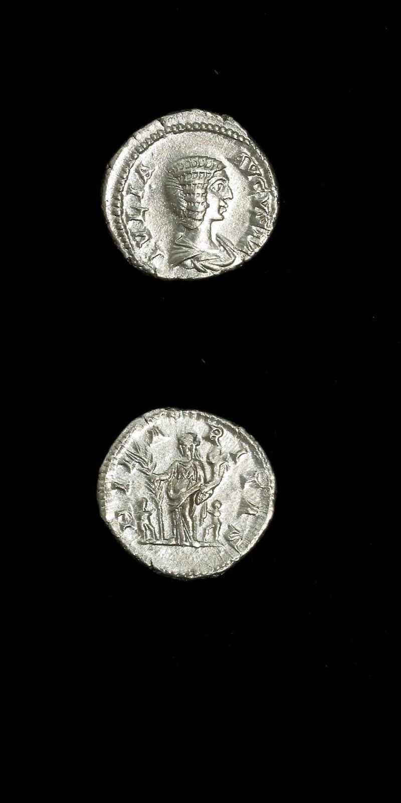 Silver Denarius of Empress Julia Domna, 196 CE - 211 CE
