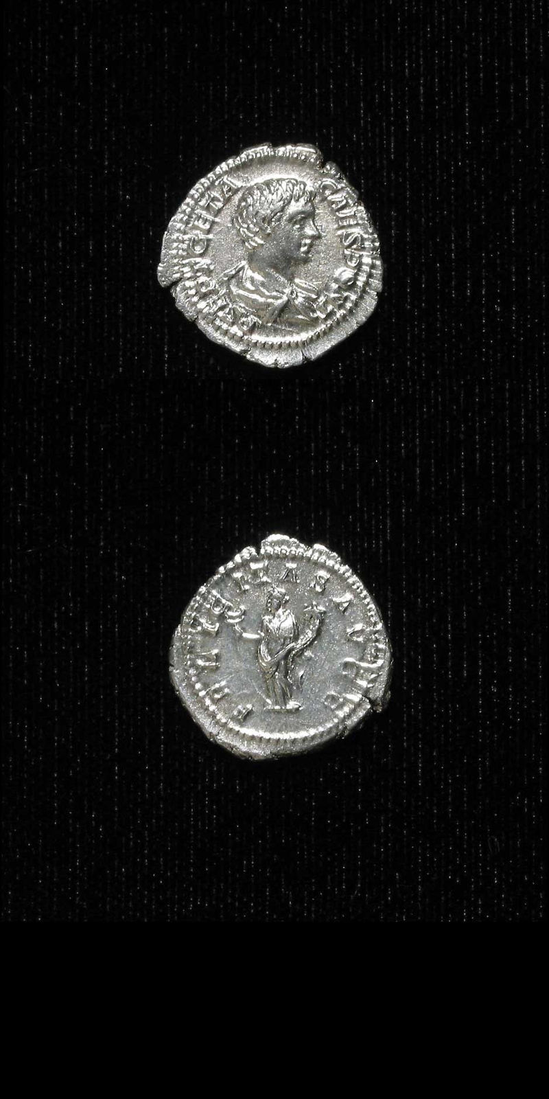Silver Denarius of Geta Struck While Caesar, 199 CE - 202 CE