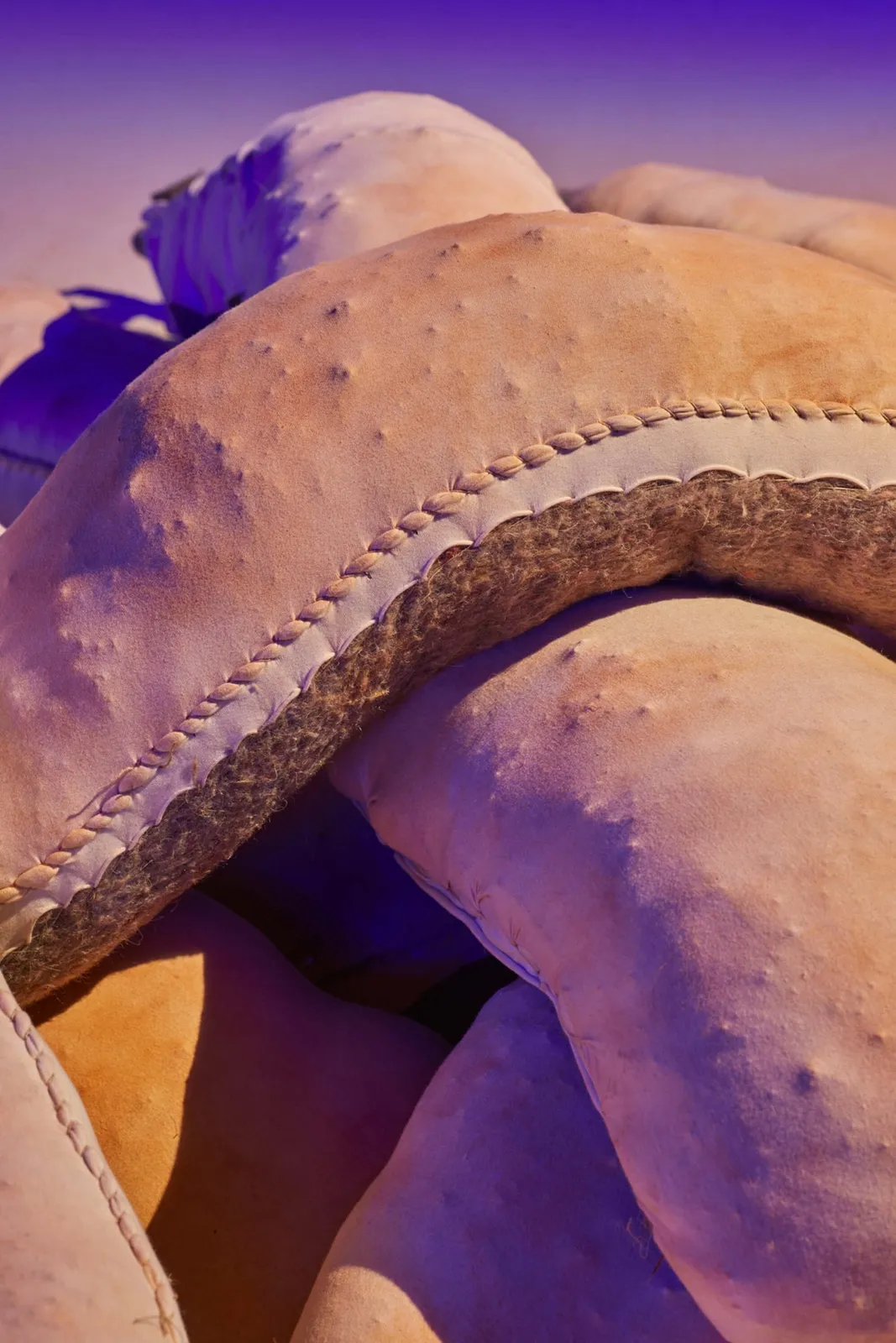 Sara Bichão, Tumba/Tomb, 2024