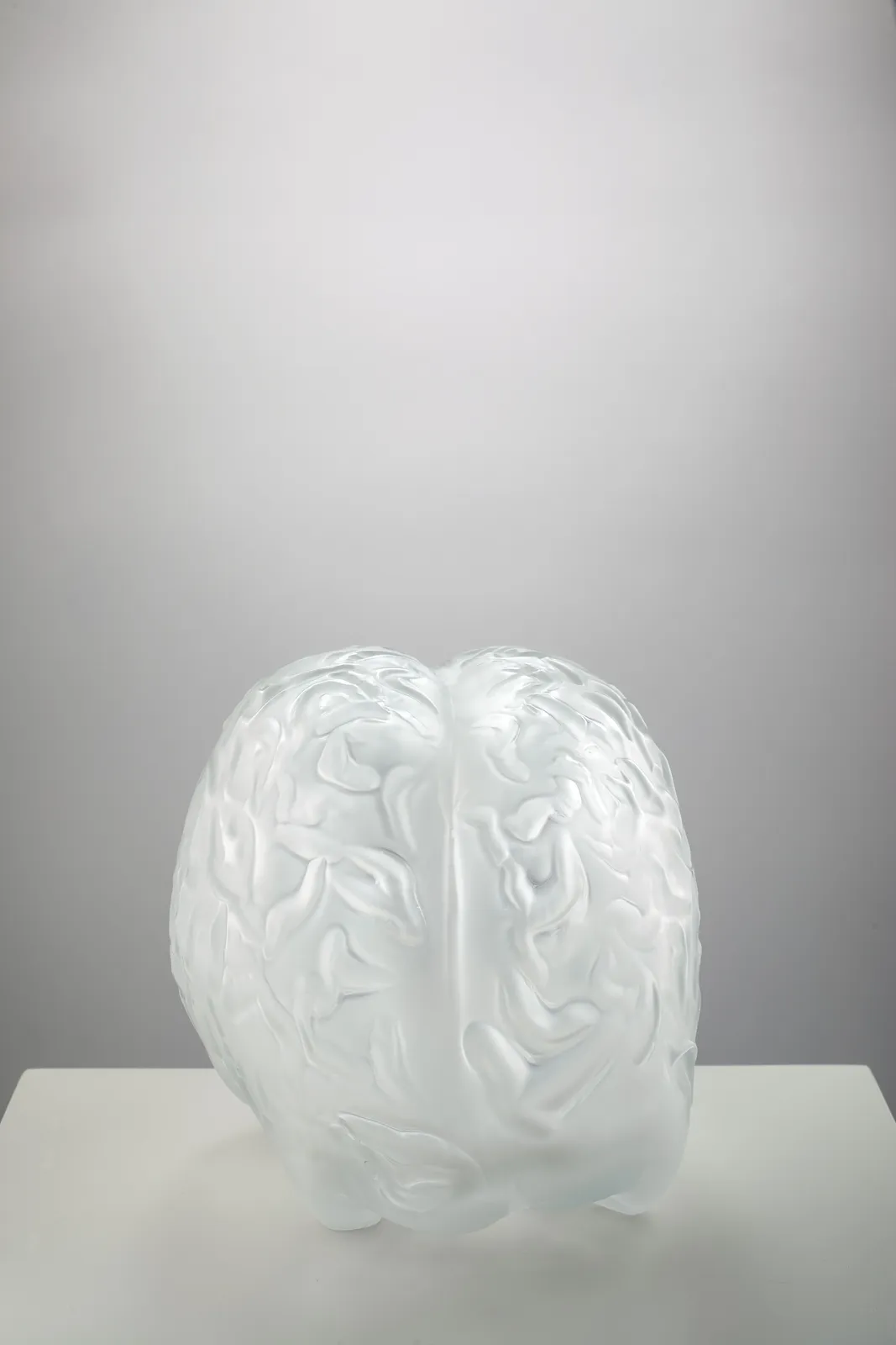 Peter Kogler, Brain (big), 2026