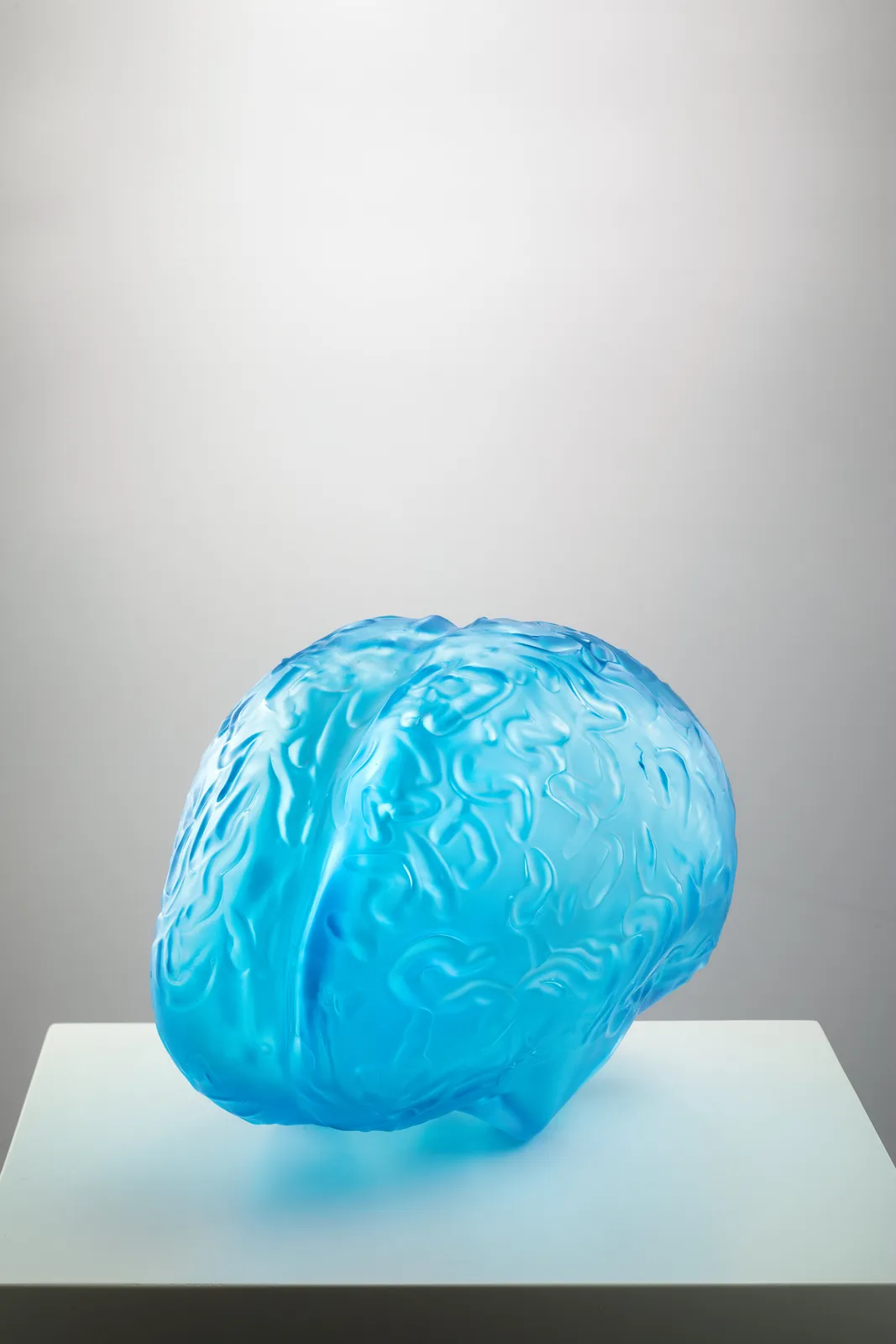 Peter Kogler, Brain (large), 2026