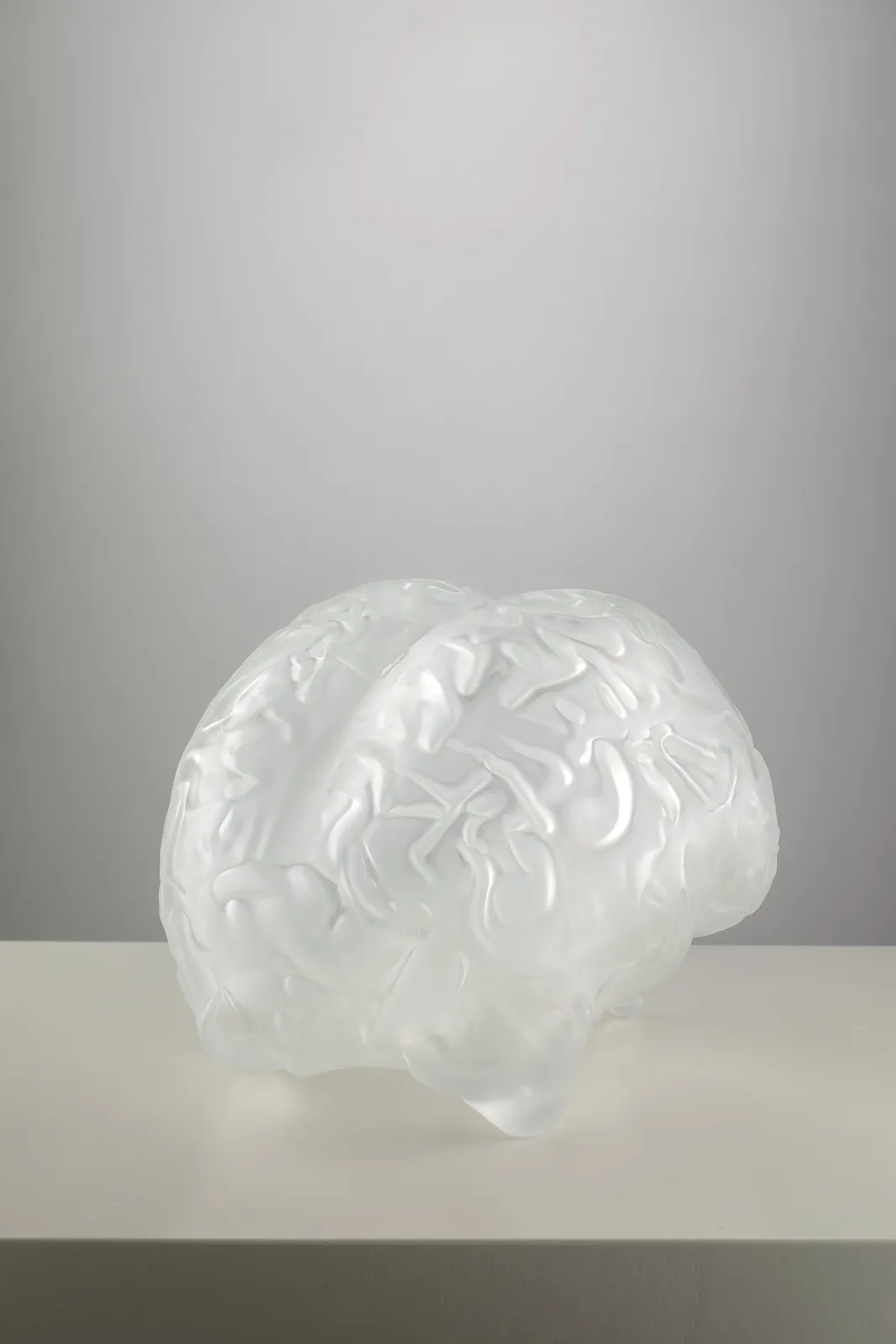 Peter Kogler, Brain (small) , 2025