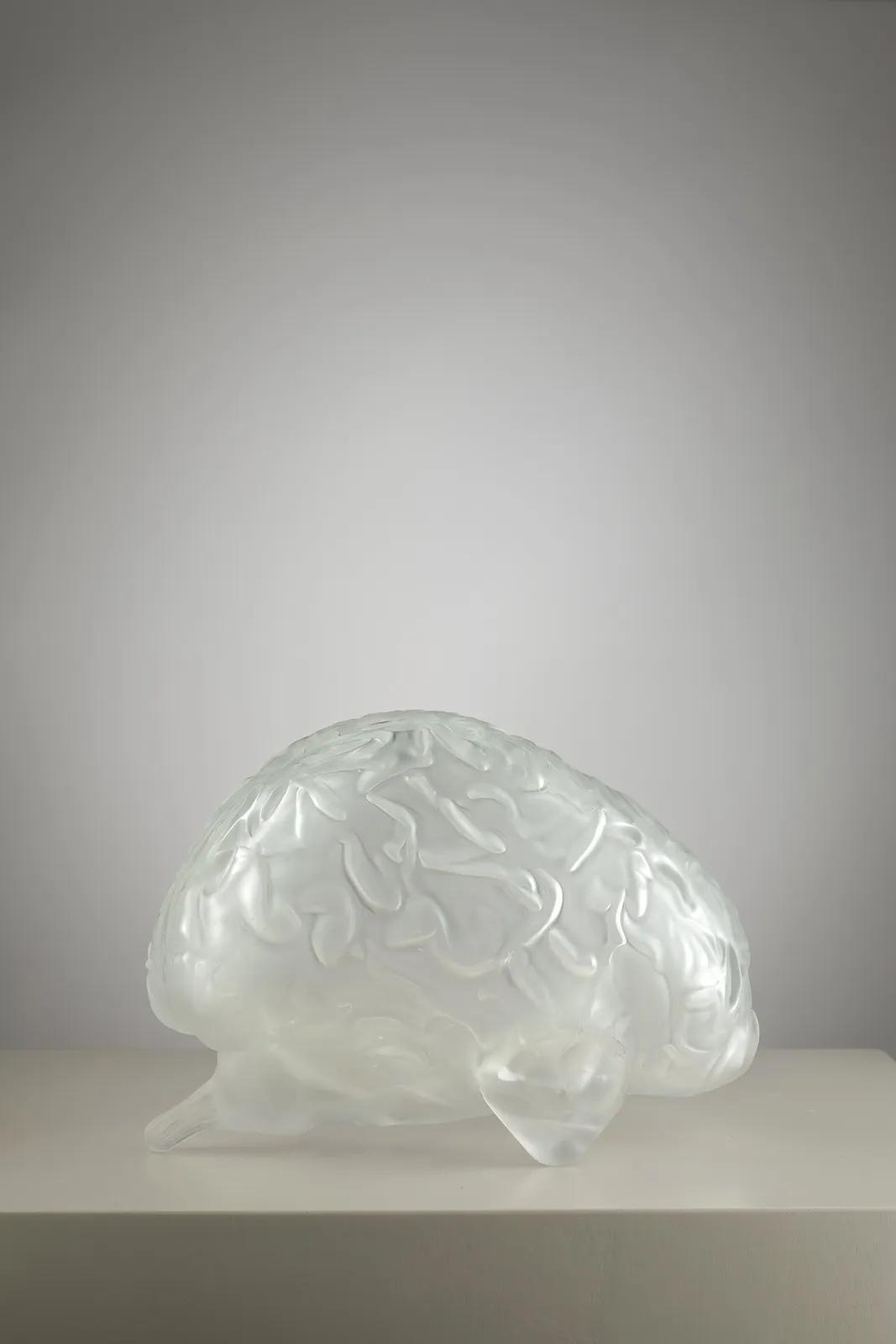 Peter Kogler, Flower-Brain (large), 2025