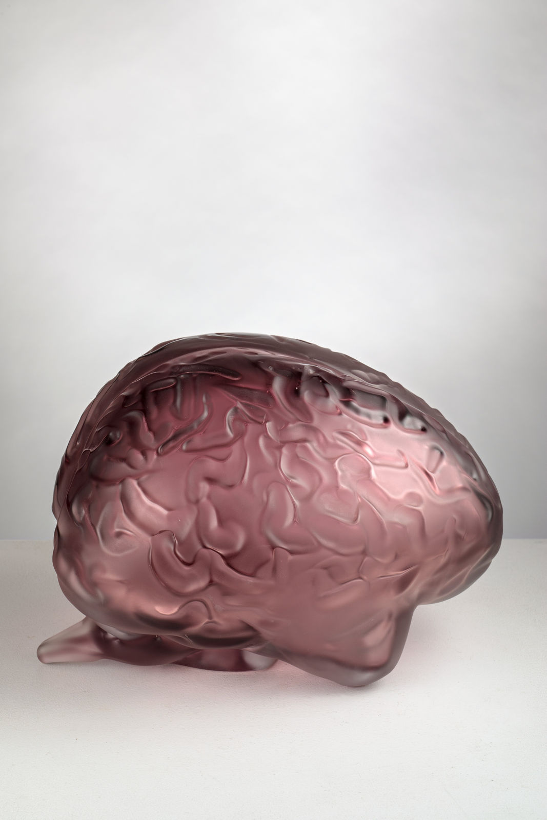 Peter Kogler, Brain (small - lilac)