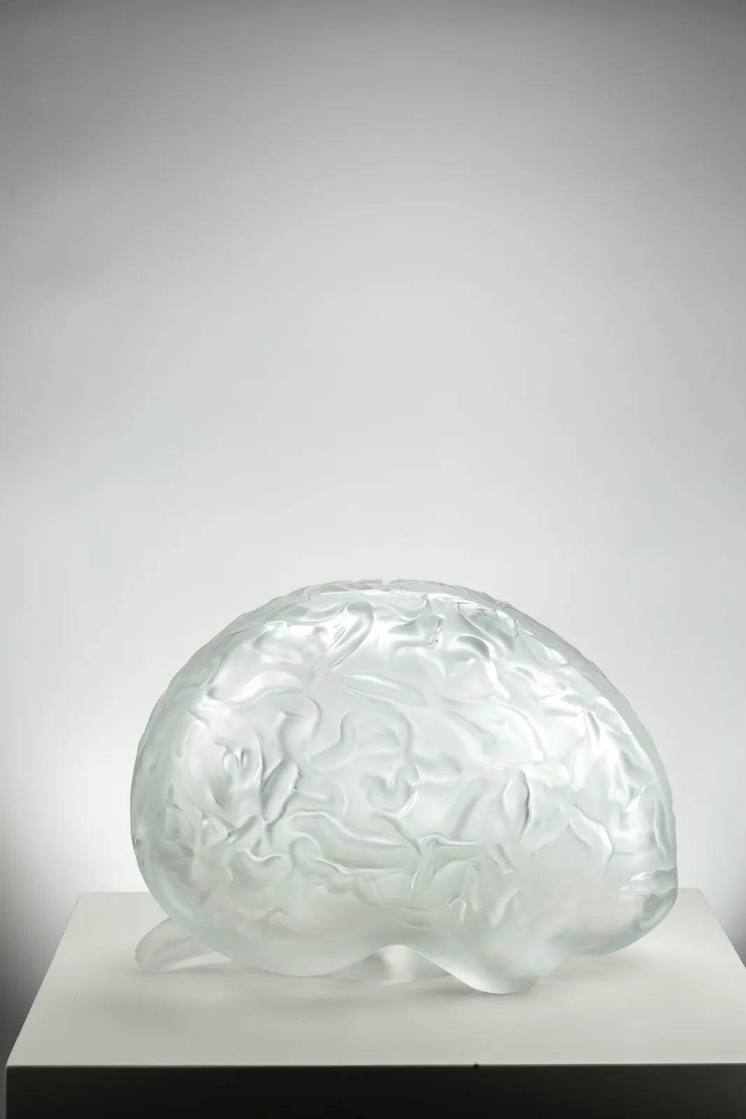 Peter Kogler, Brain (big), 2026