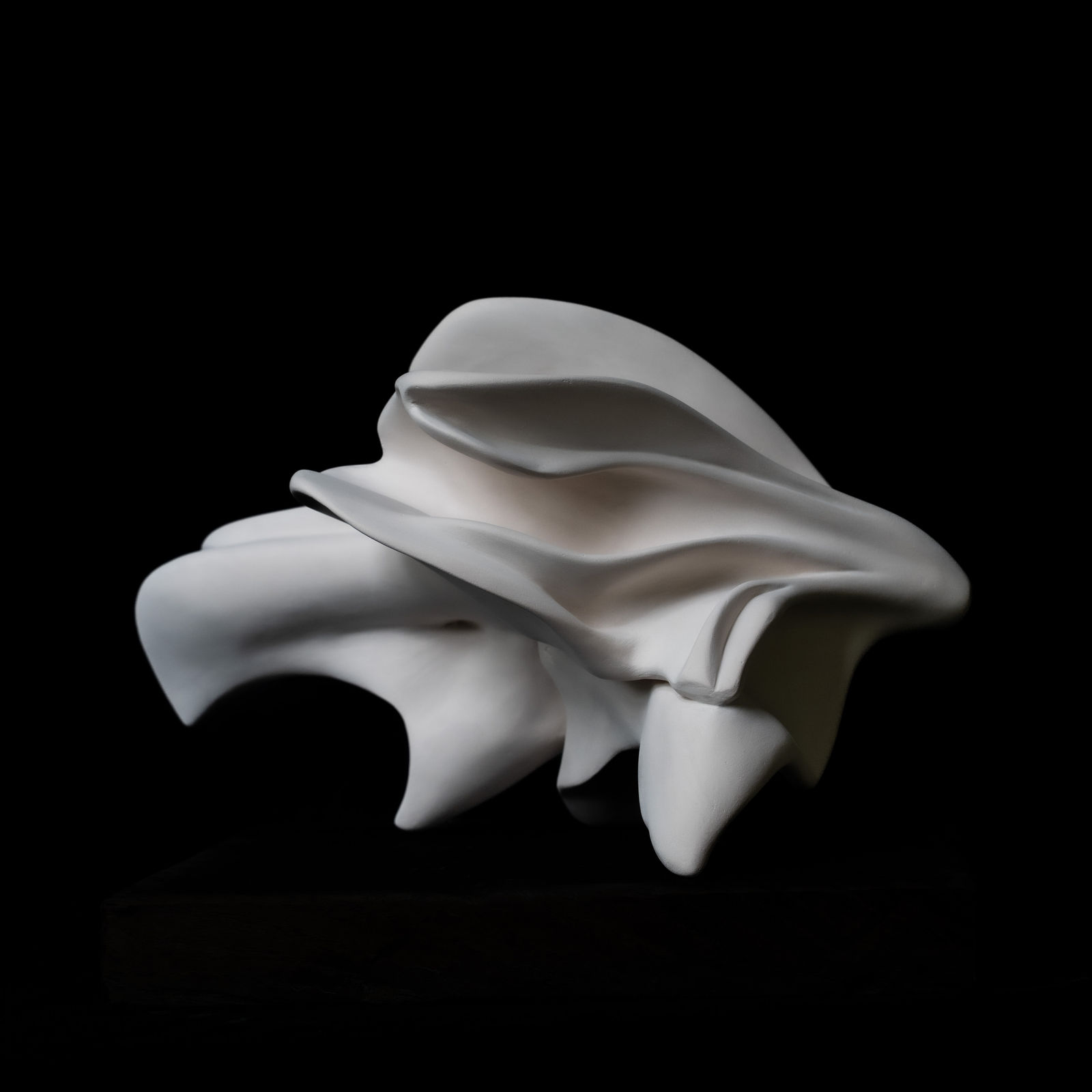 Amy Thai, Flux I / 流 I (Liú I) , 2025