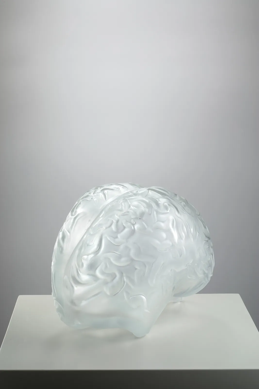 Peter Kogler, Brain (big), 2026
