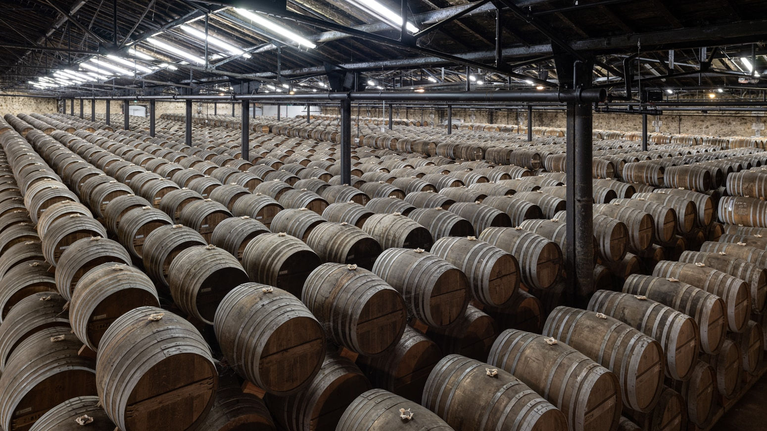 Mario Basner, Chai Merpins No.2, 2023