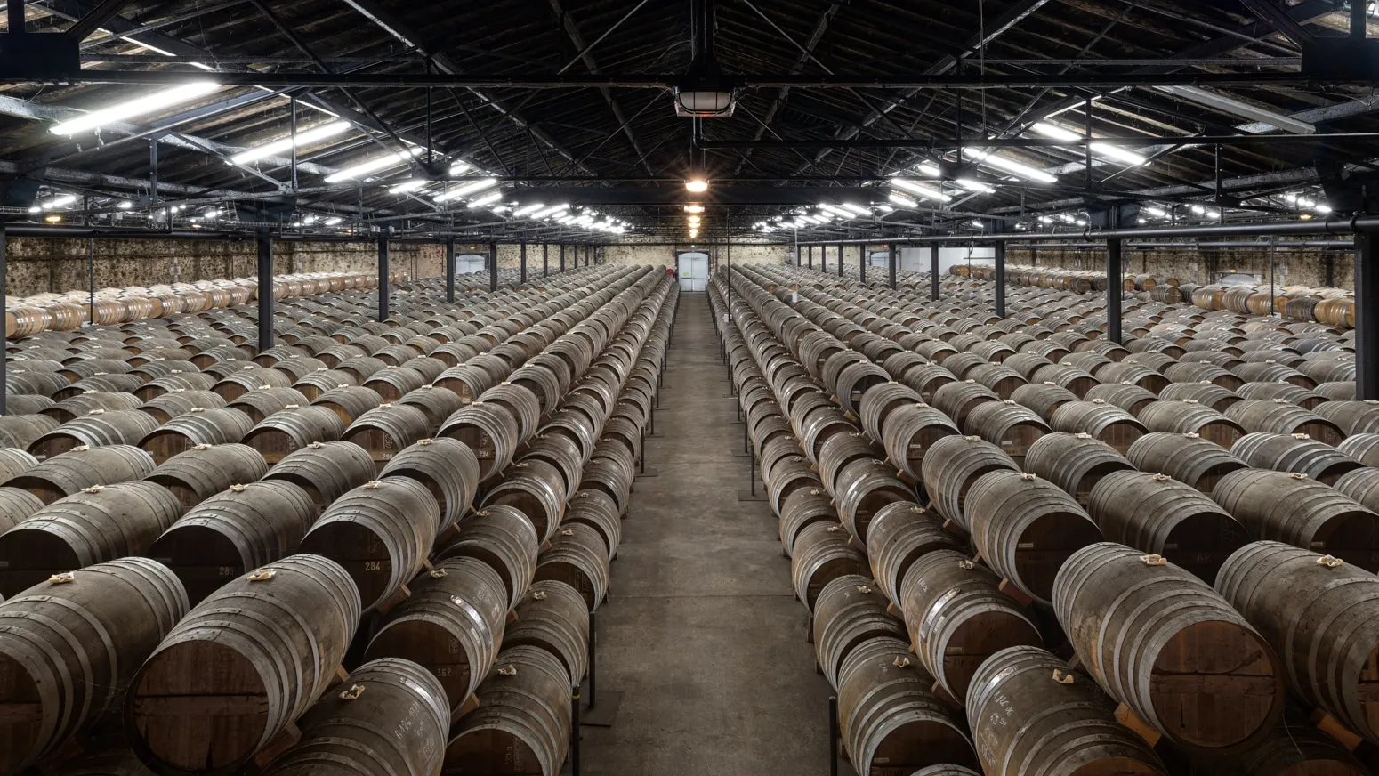 Mario Basner, Chai Merpins No.1, 2023