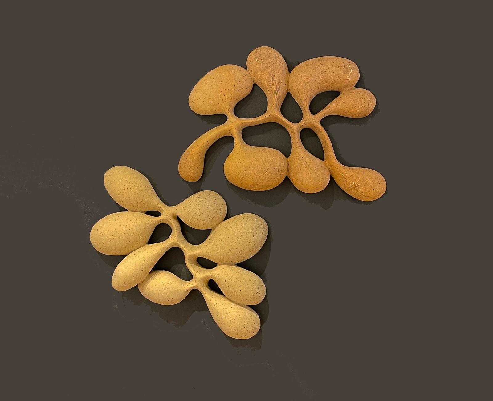 Carol Young, Viriditas 22, 2022