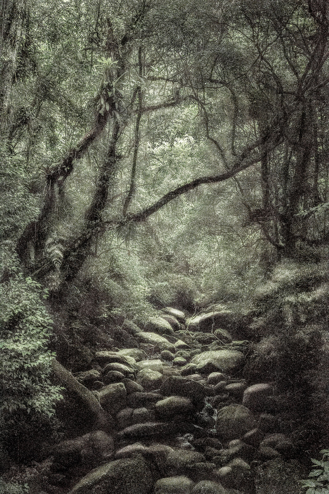 Cássio Vasconcellos, Viagem Pitoresca pelo Brasil #69, 2016