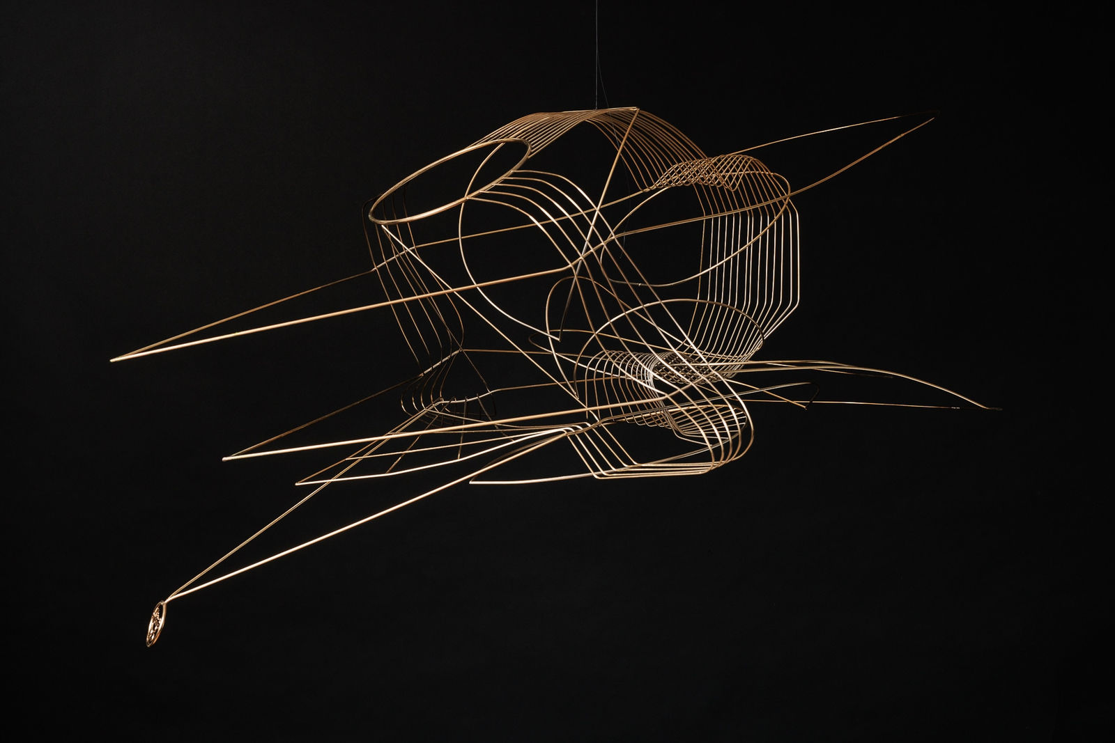 Constantin Luser, S3, 2023