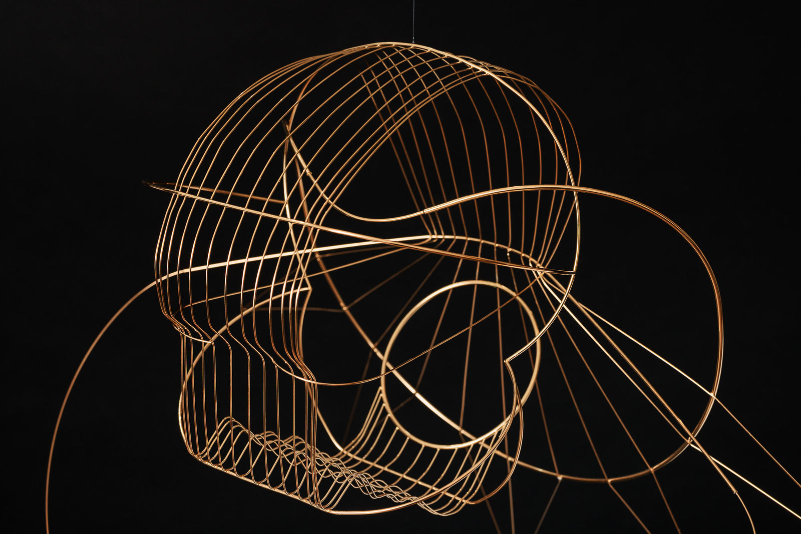 Constantin Luser, R9 Wandtrophäe, 2023