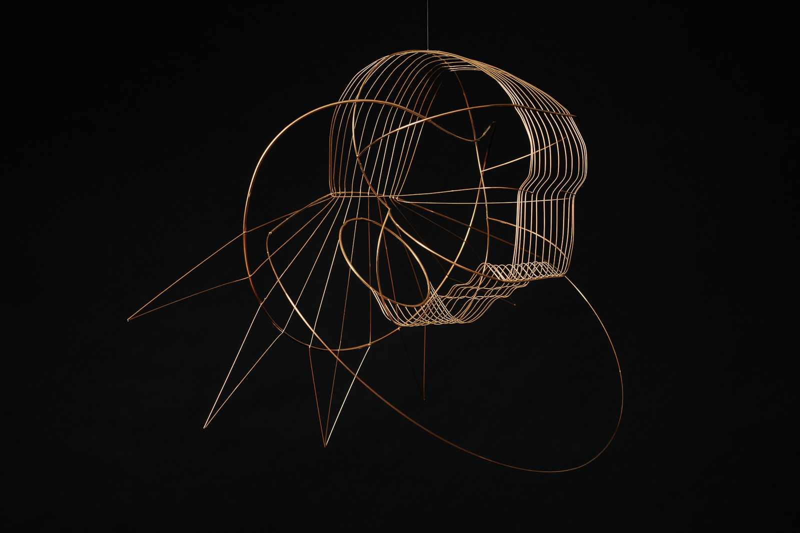 Constantin Luser, R9 Wandtrophäe, 2023