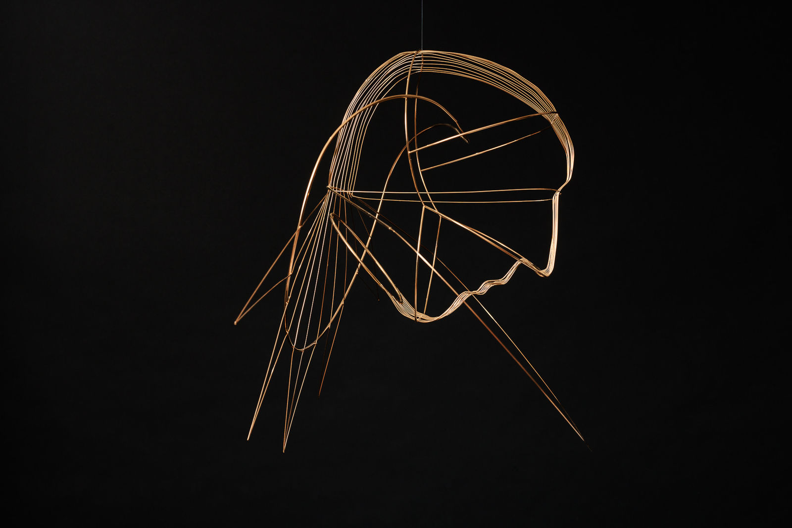 Constantin Luser, R9 Wandtrophäe, 2023