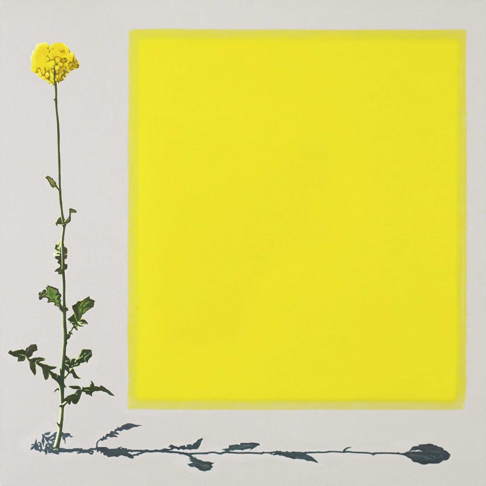 Karen Holländer, ohne Titel, 2022