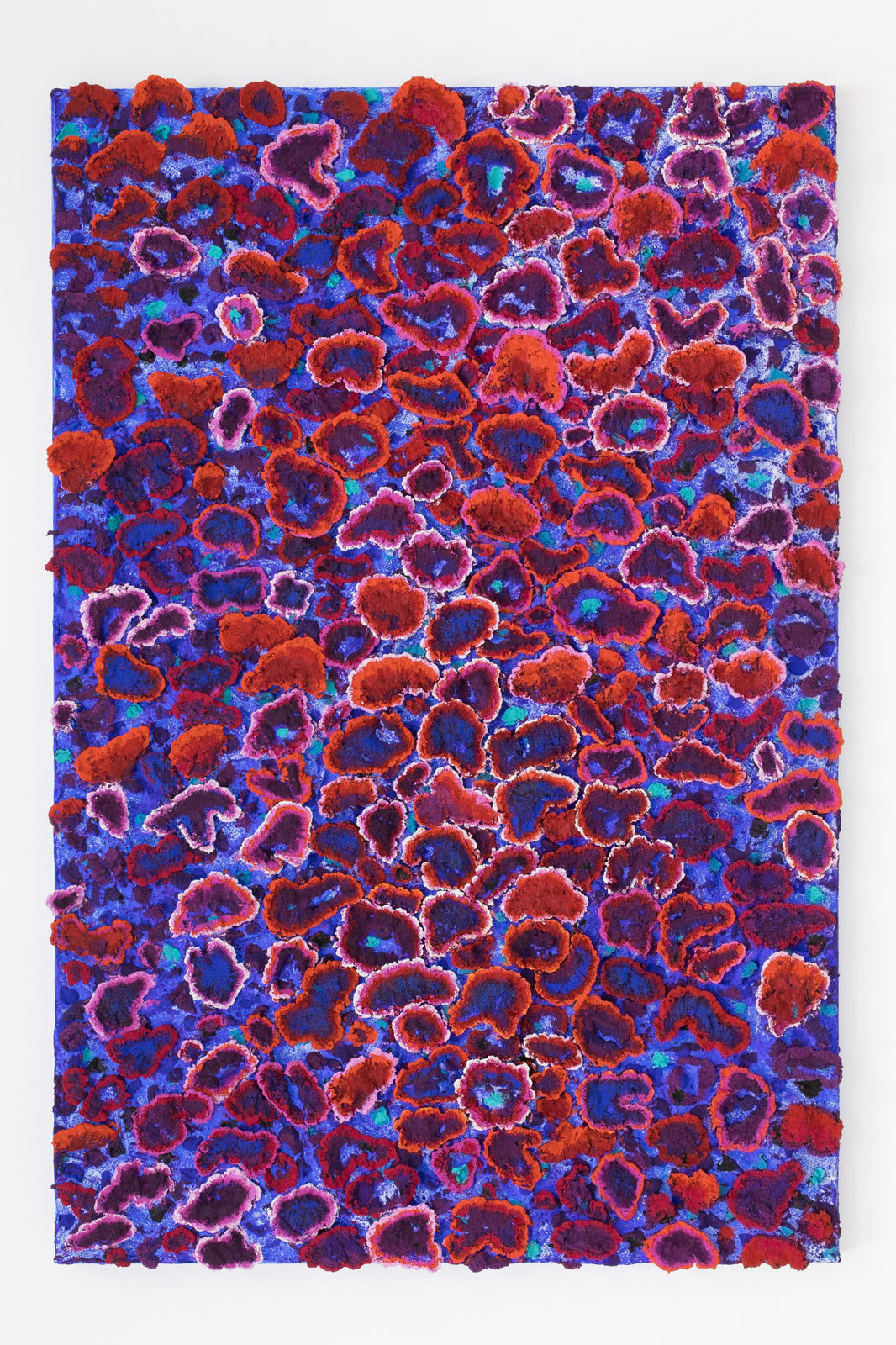 Nabil Nahas, Untitled, 2017