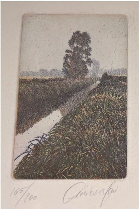 Oliviero Masi, Stream