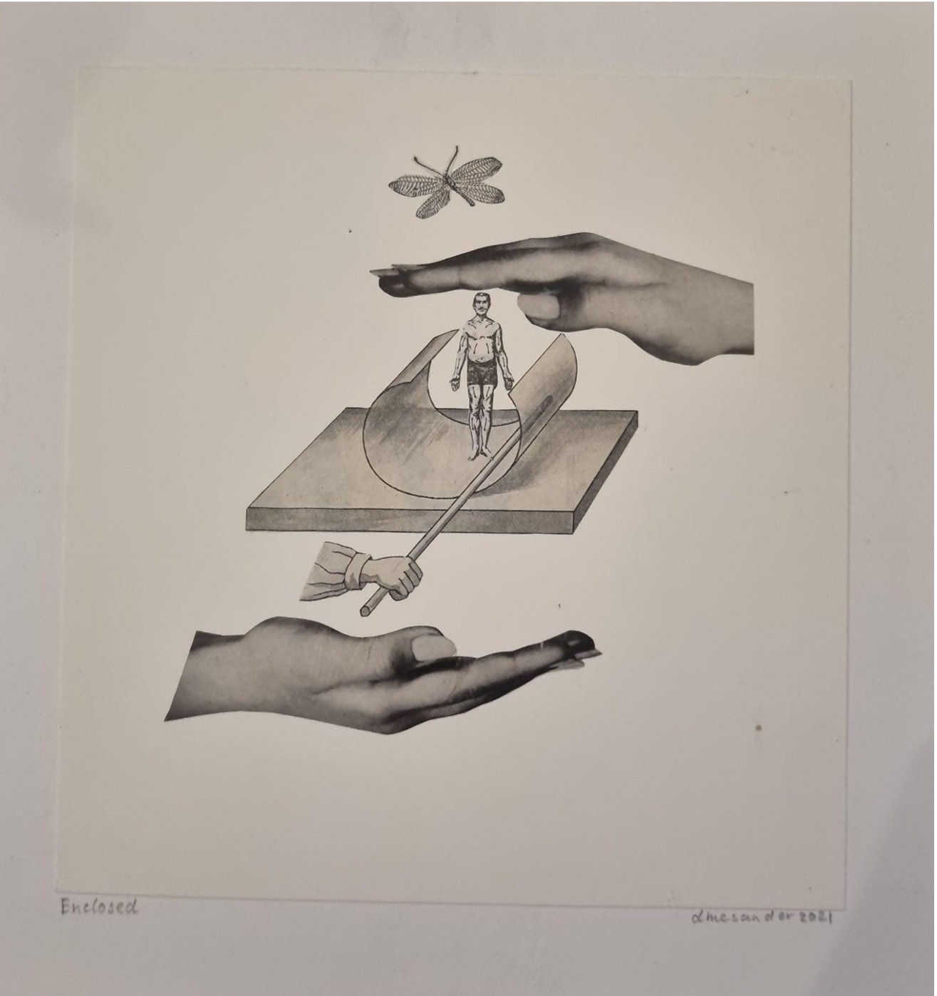 Dorothee Mesander, Enclosed