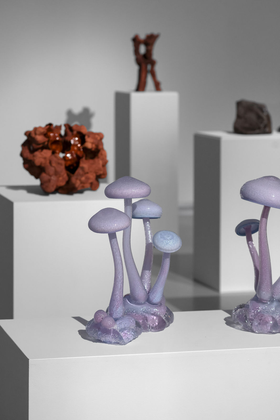 Ellen Ehk, Wonderland, 2023