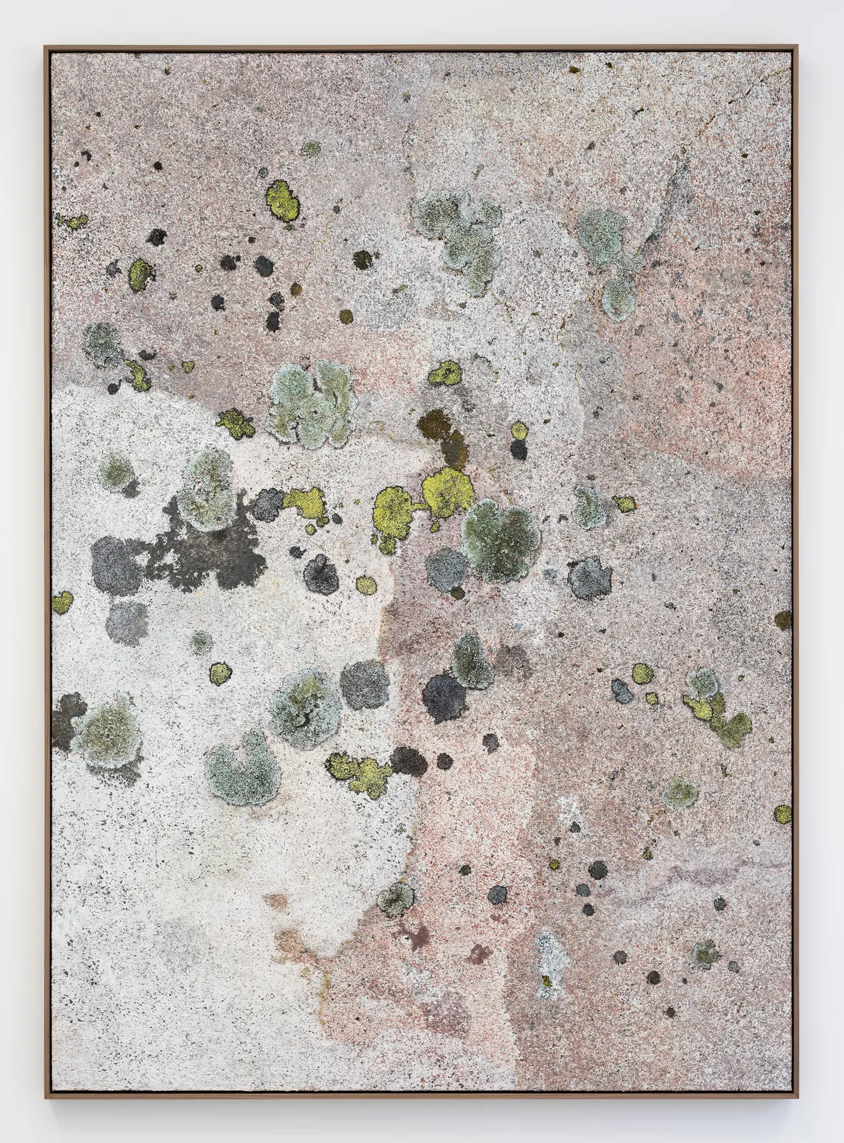 Ivar Lövheim, Och fågelskuggan föll på hällen en sekund, 2025