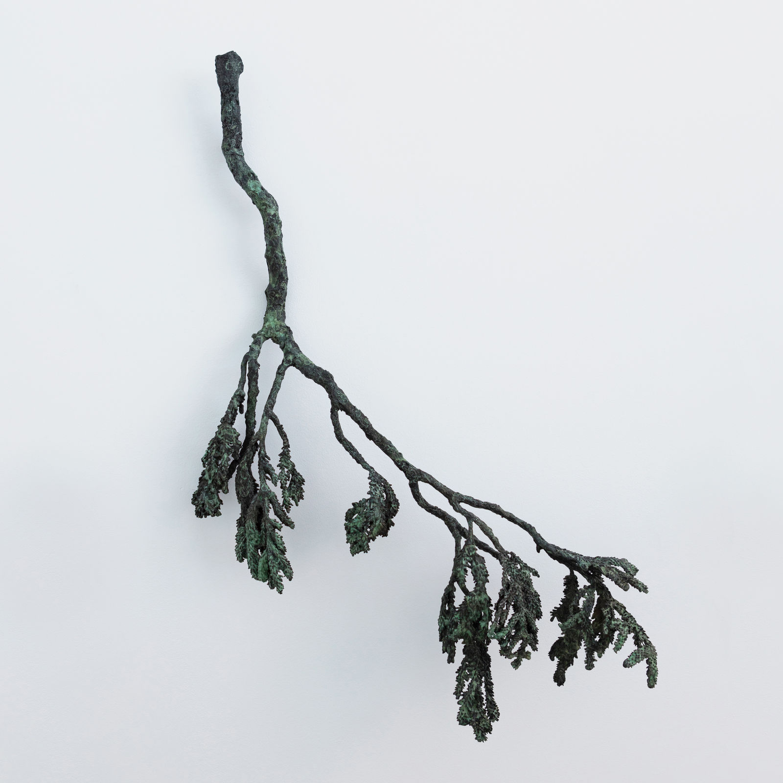 Ellen Ehk, The Limb, 2023