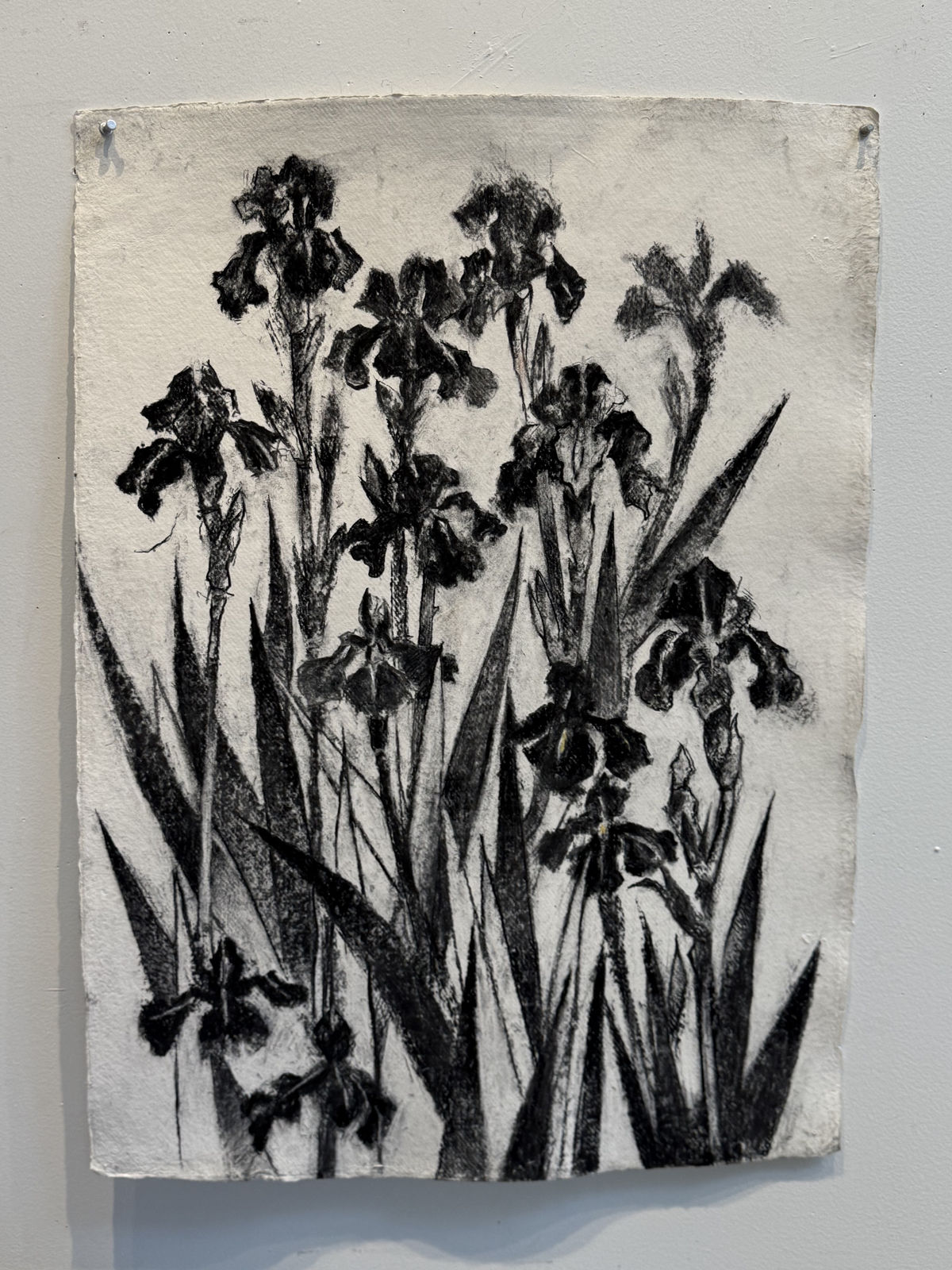 John Alexander, Black Iris II, 2026