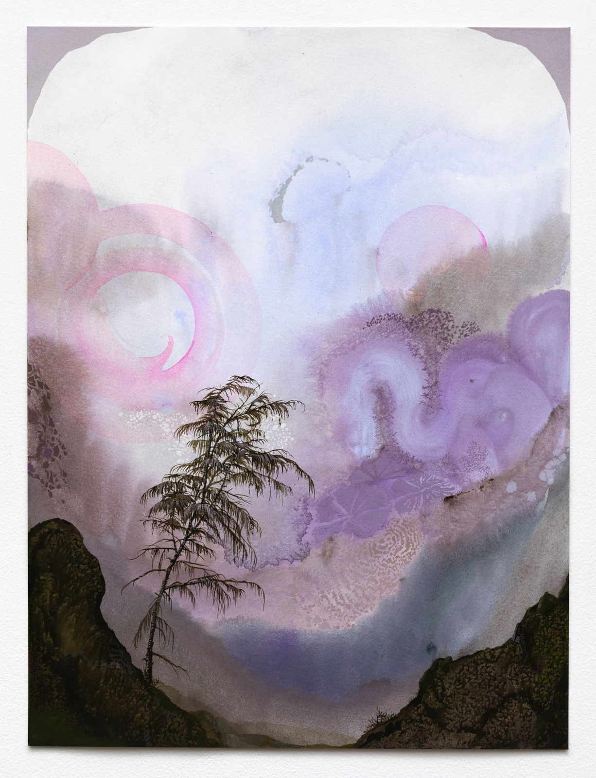 Darren Waterston, Illumination Study 2, 2024