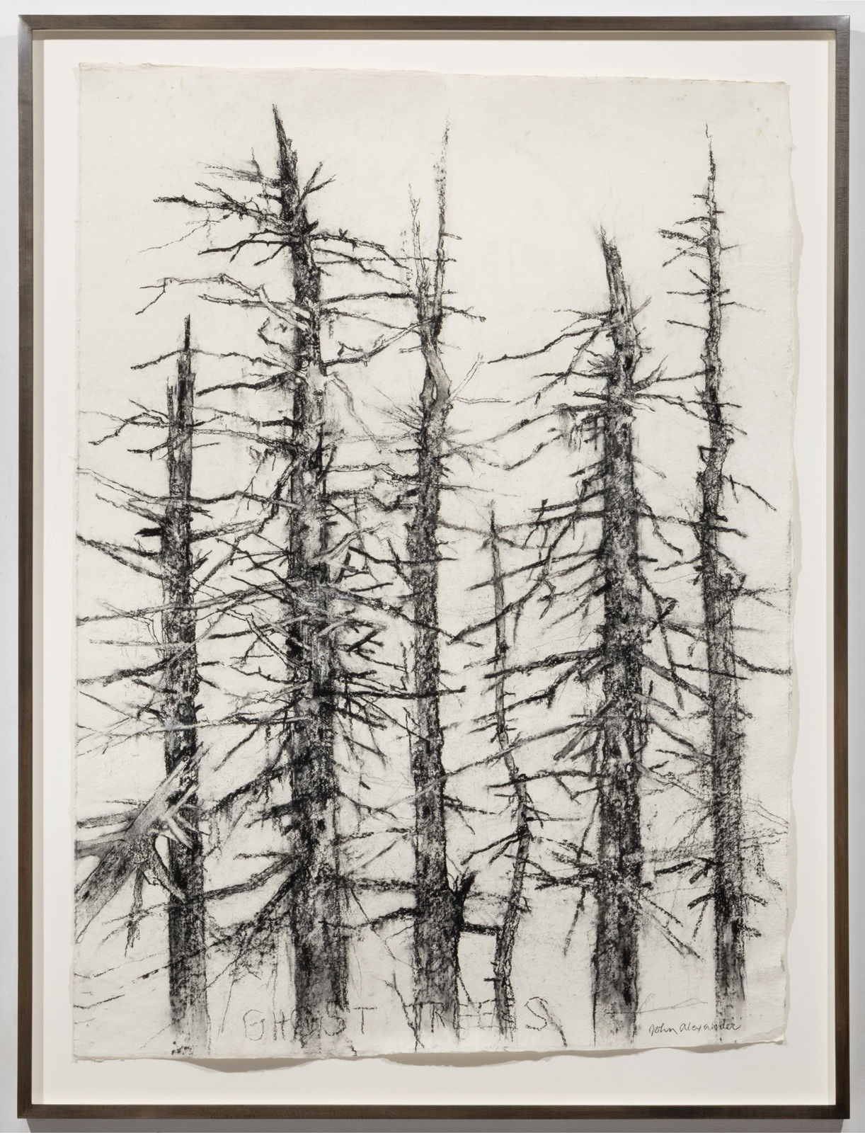 John Alexander, Ghost Trees, 2026