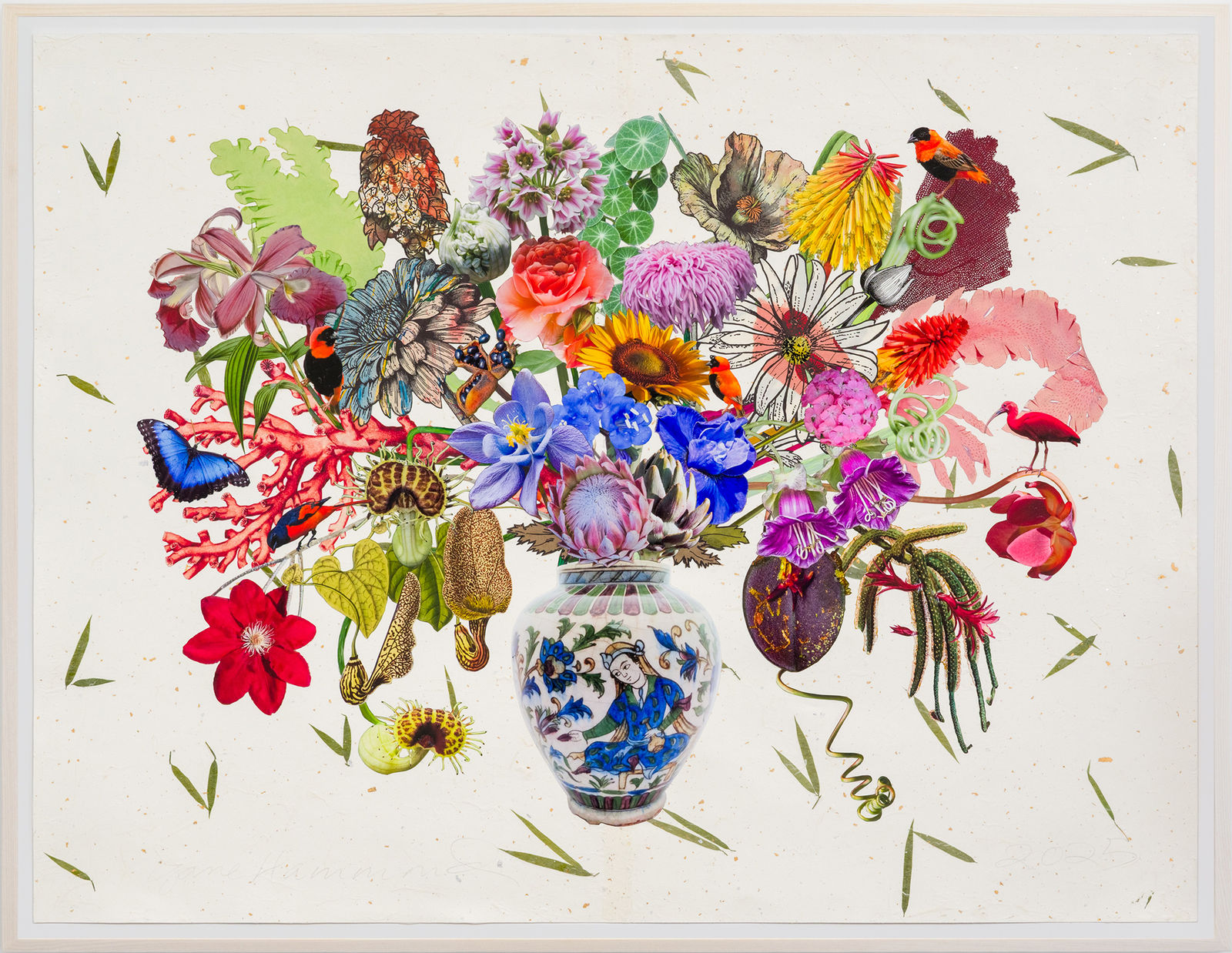 Jane Hammond, Persian Vase with Cup and Saucer Vine, Clematis Rebecca and Northern Red Bishop, 2025