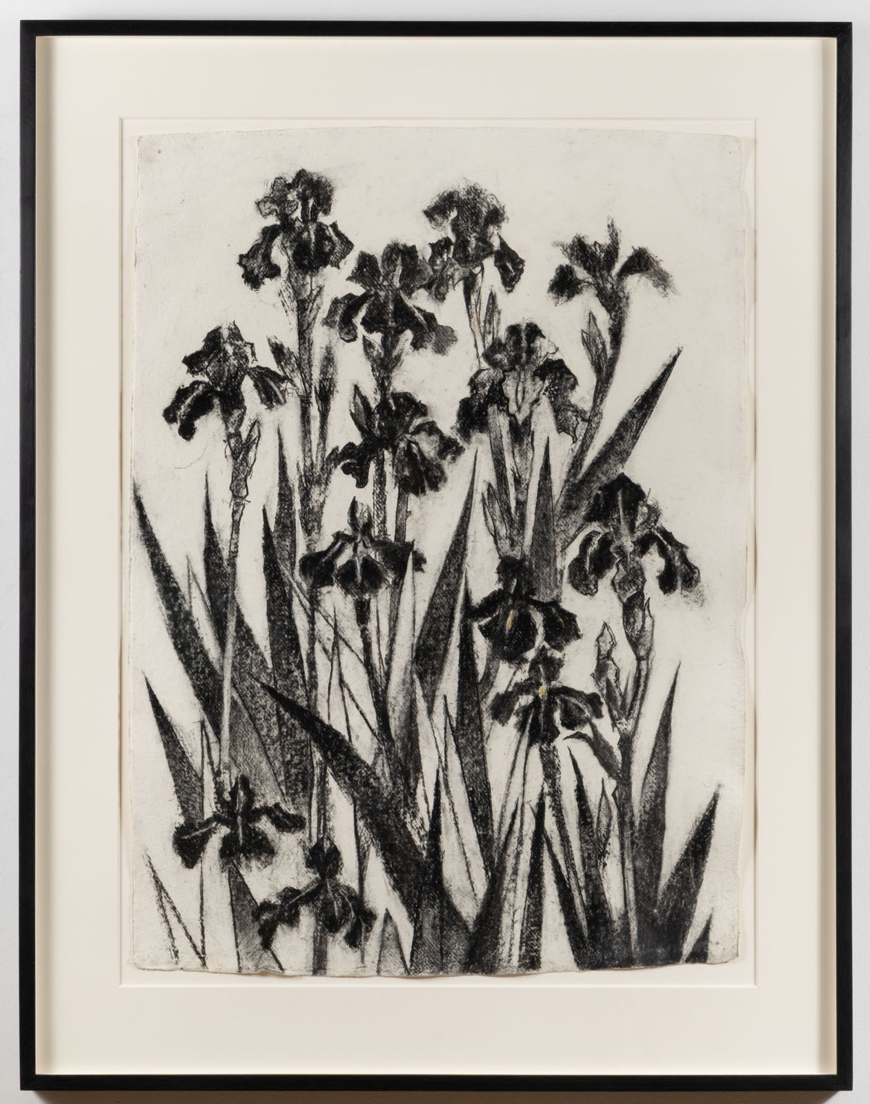 John Alexander, Black Iris II, 2026