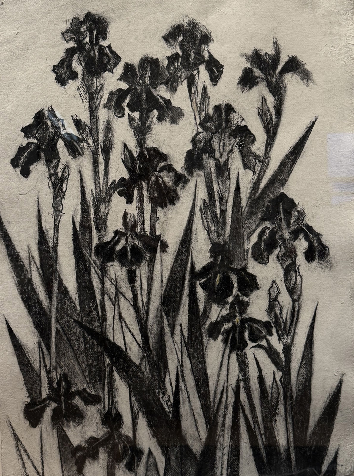 John Alexander, Black Iris II, 2026