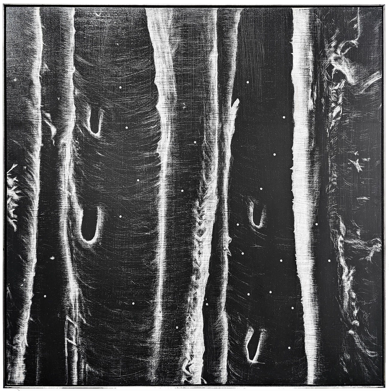 Harrison Freeth, Shades, 2025