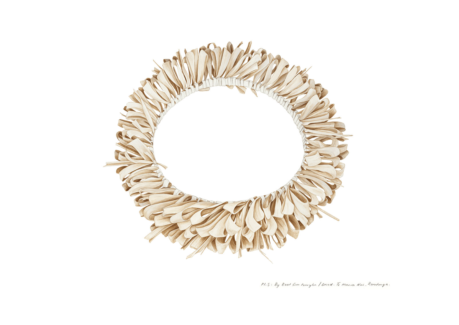 Tabatha Forbes, Plate 5. By Boat from Penrhyn, Dried. Te Maeva Nui, Cook Islands, 2017