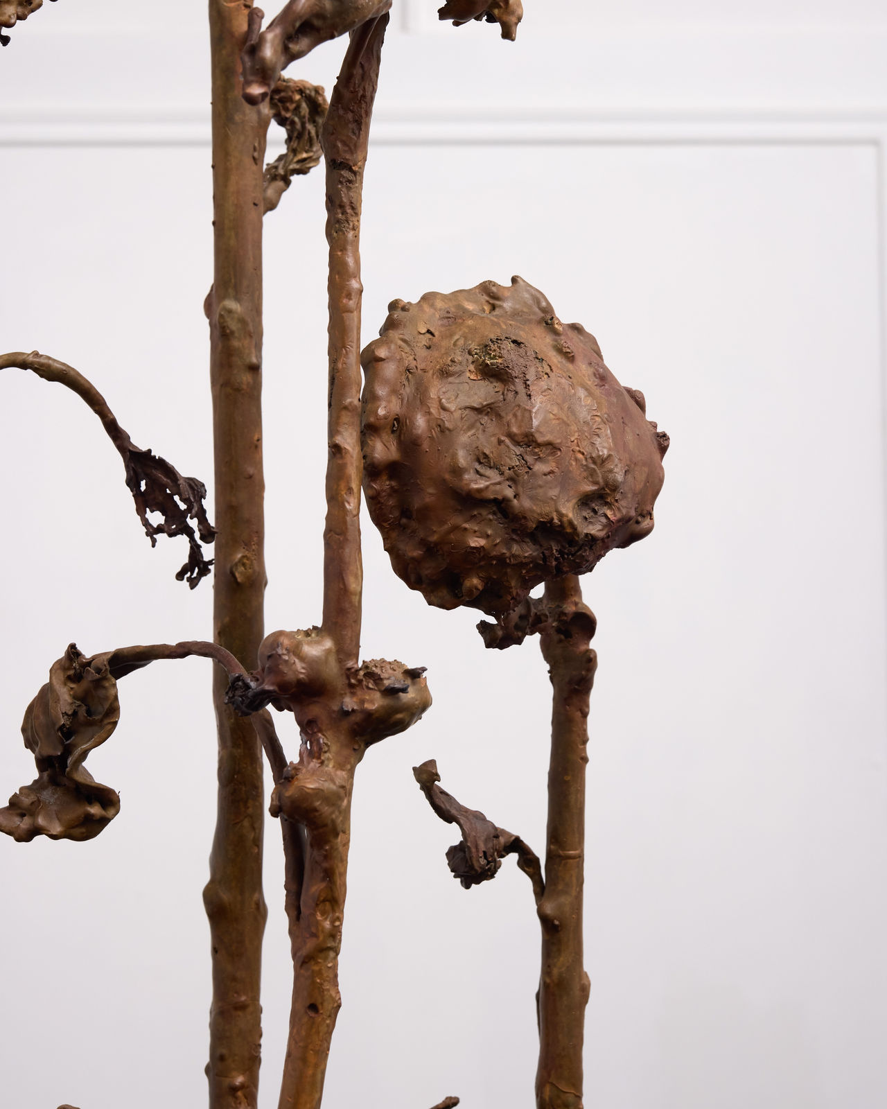 Alicja Biala, Hyperaccumulator VII, 2025