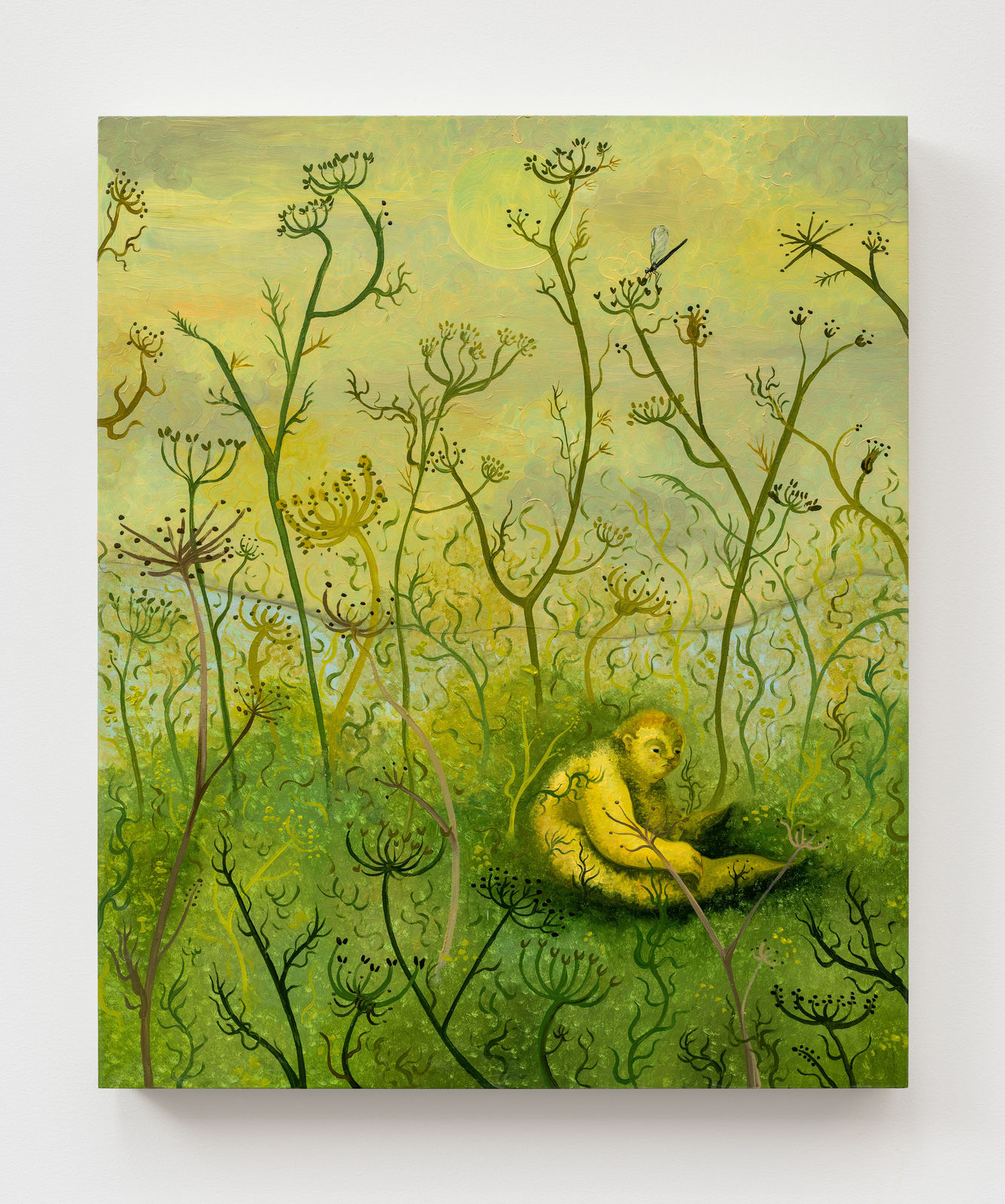 Georg Wilson, Pale Fire, 2024