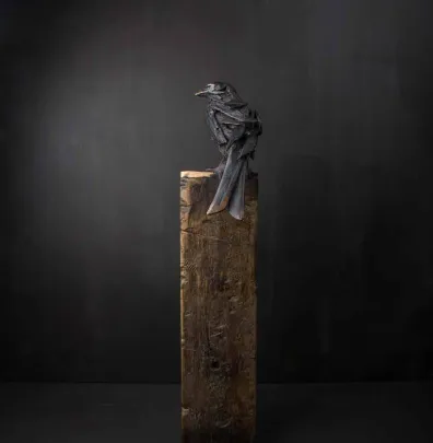 Simon Max Bannister, Drongo