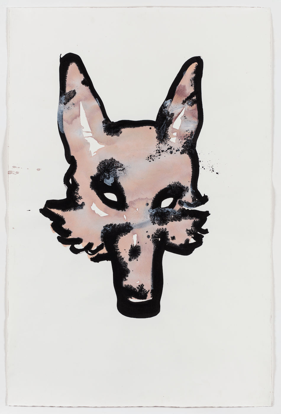 Marcos Bontempo, Untitled, (Fox)