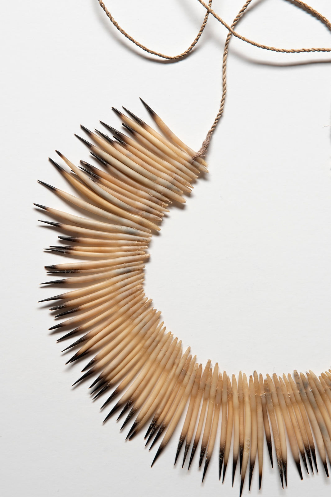 Annette Day, Southern Sky, 2022