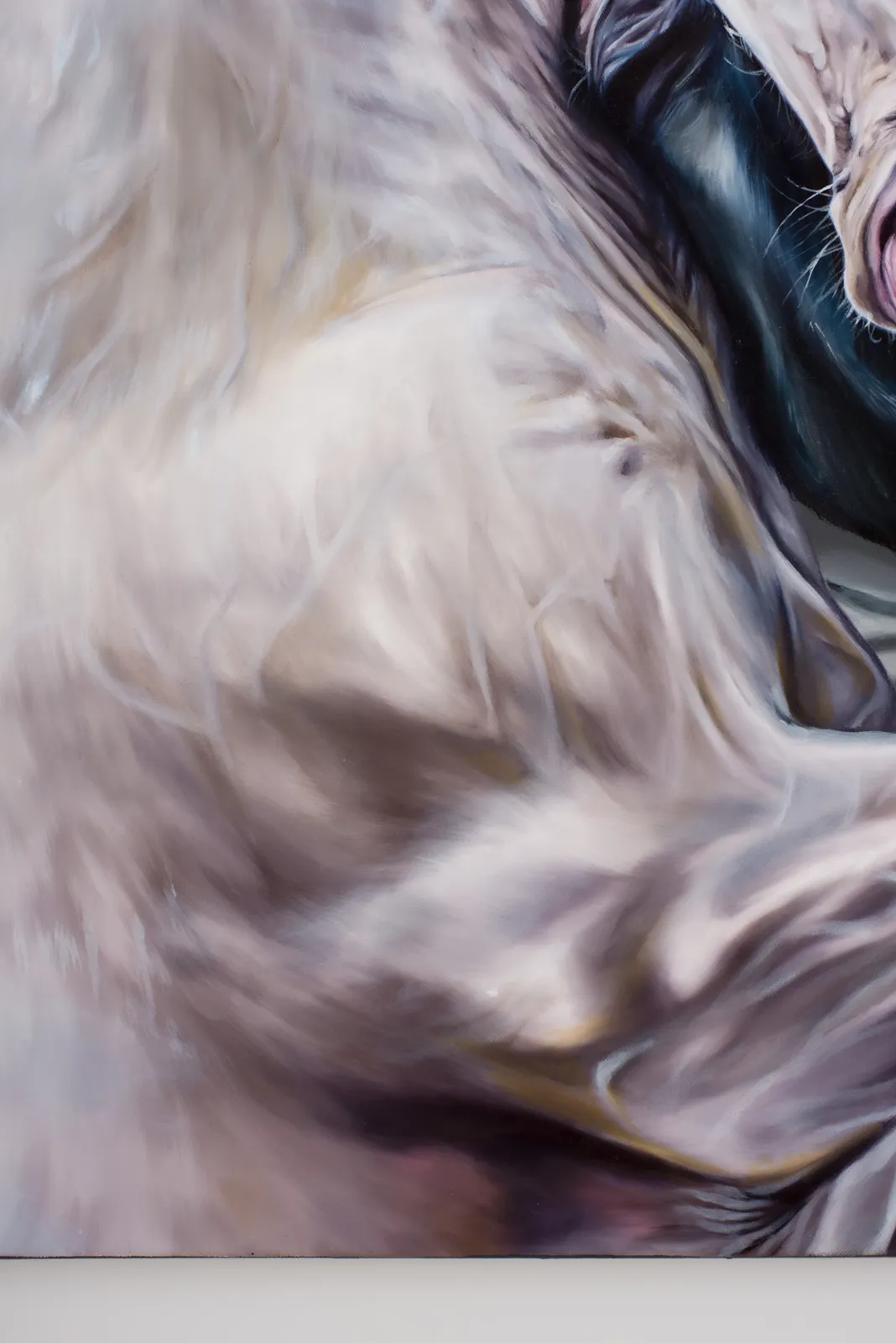 Sophie Coe, Ring Work II, 2026