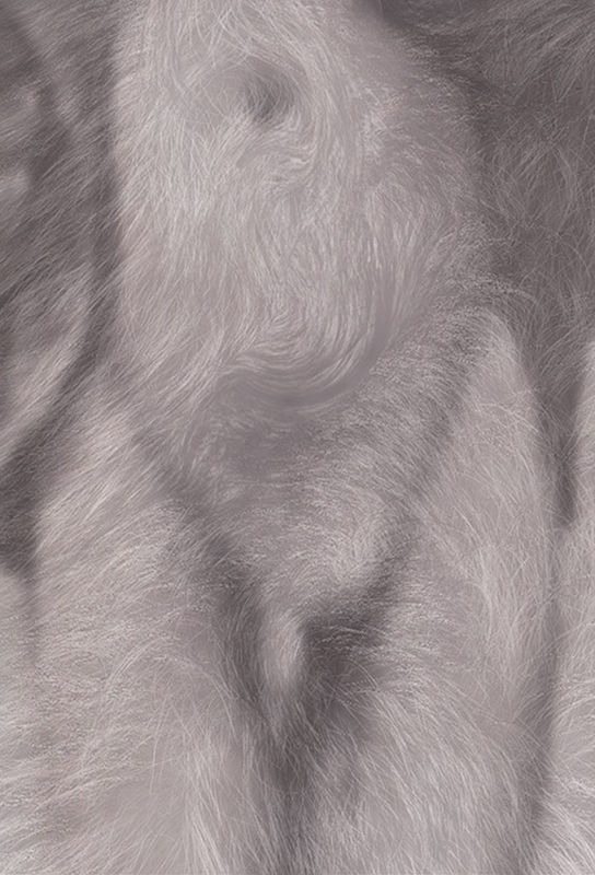 Pat Brassington, Rhymer, 2003