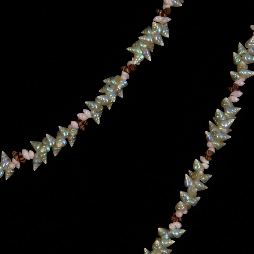 Aunty Jeanette James, Palawa Shell Necklace, 2013
