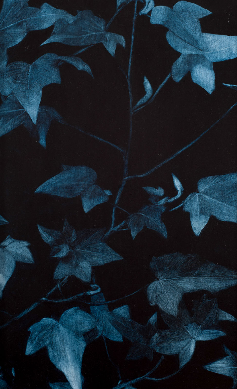 Alexander Okenyo, This delicious garden, 2019