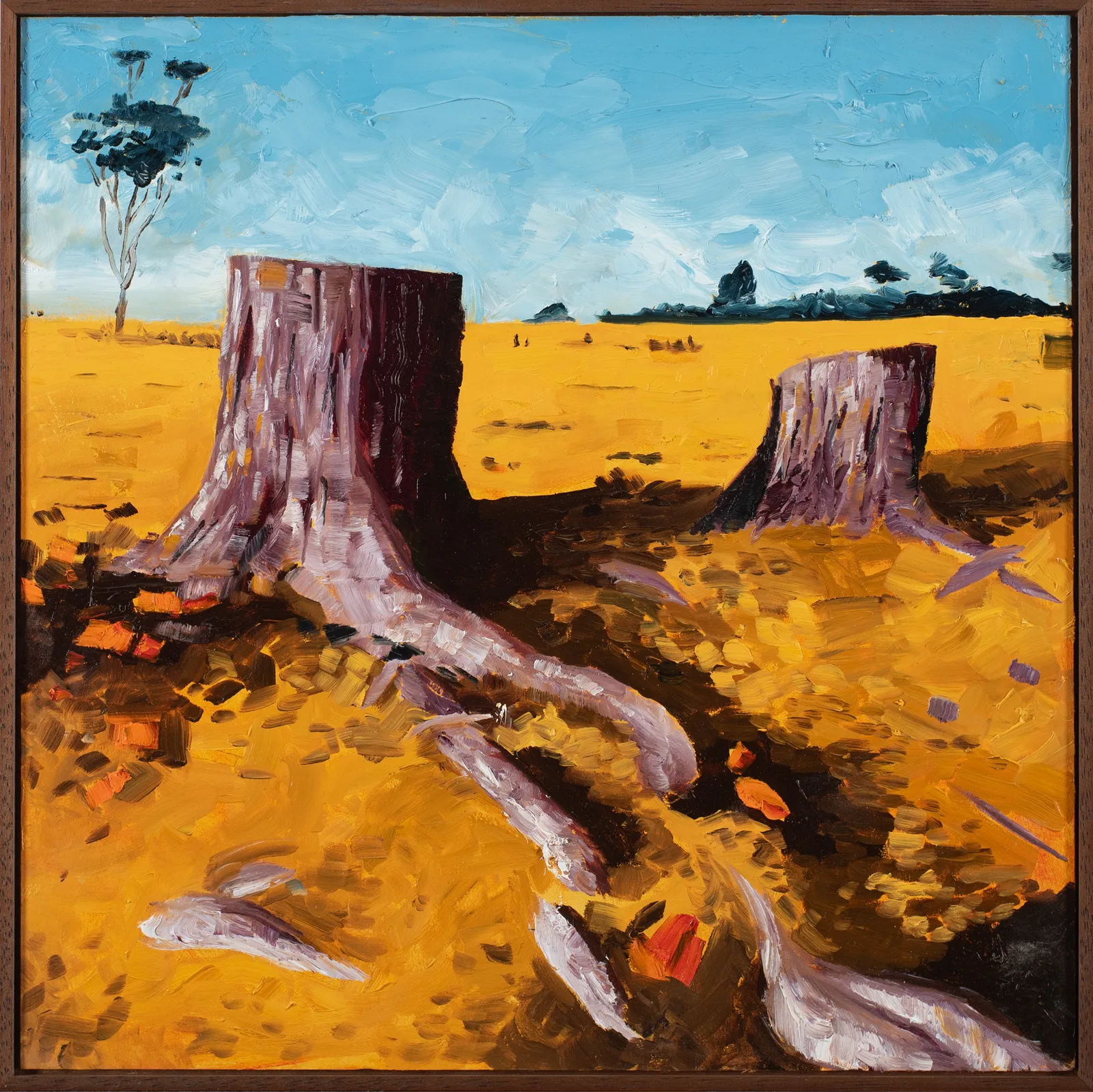 Leigh Rigozzi, Felled Pine's on Maria Island, 2026