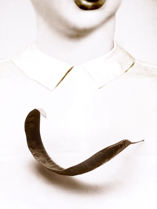 Pat Brassington, Garnish, 2016