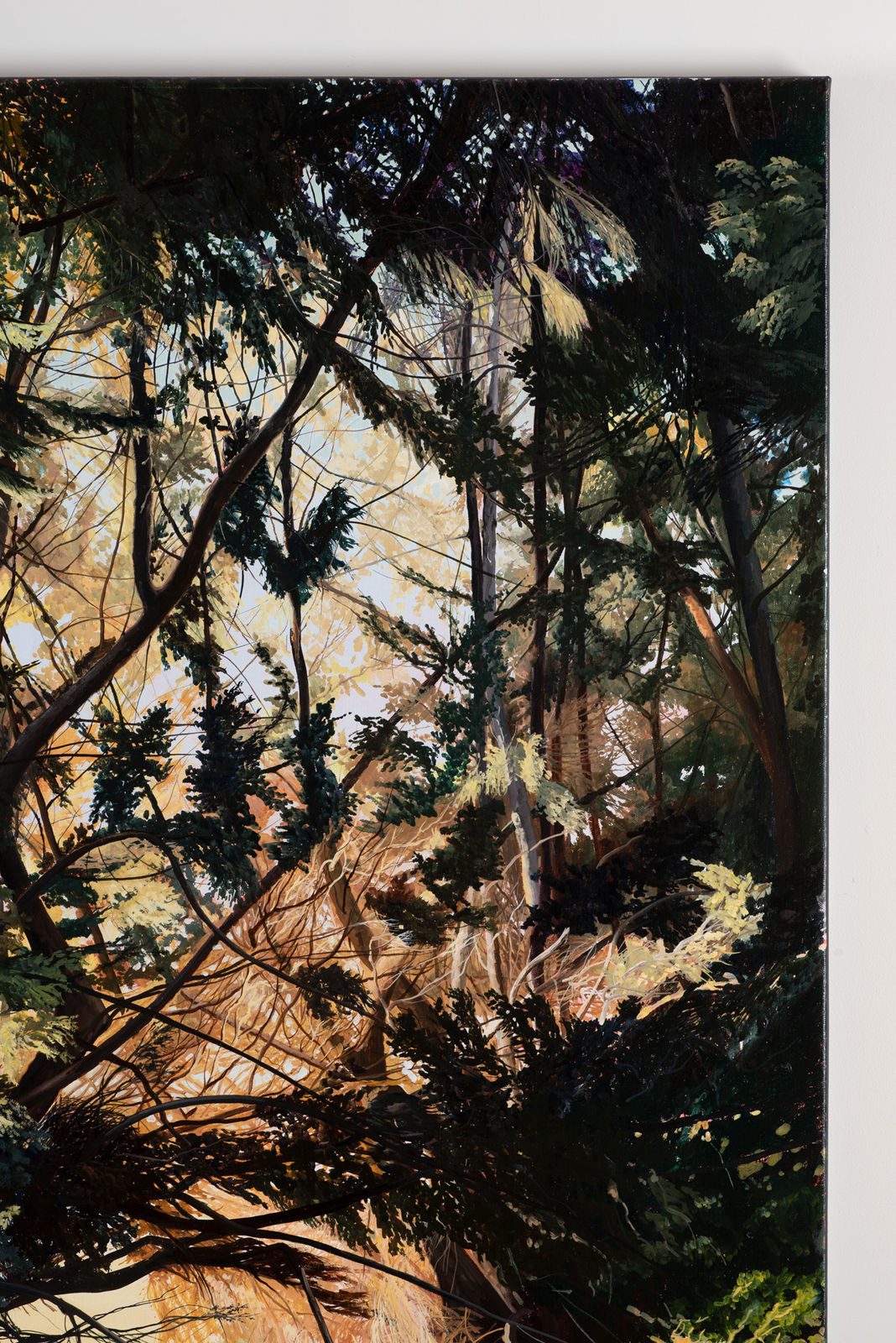 David Keeling, The bay 5pm, Autumn light, 2020