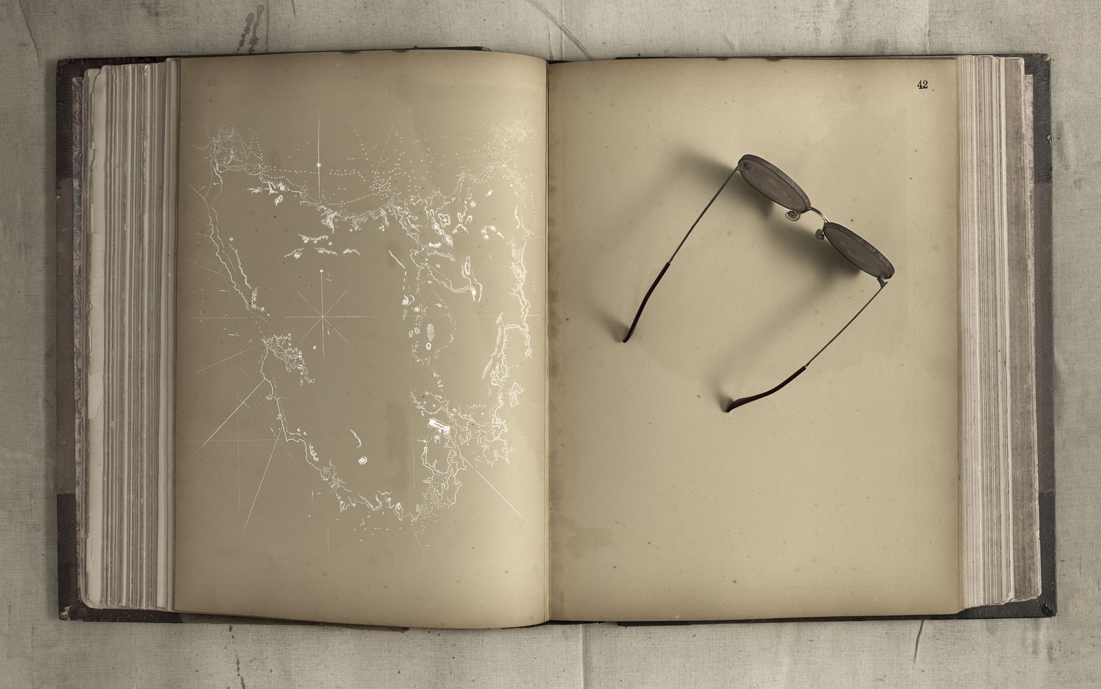 Brigita Ozolins, Page 42, 2019