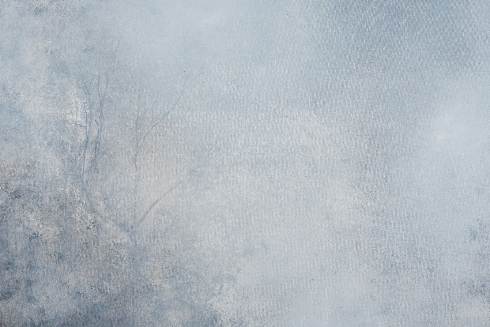 Lucinda Bresnehan, Feel to believe