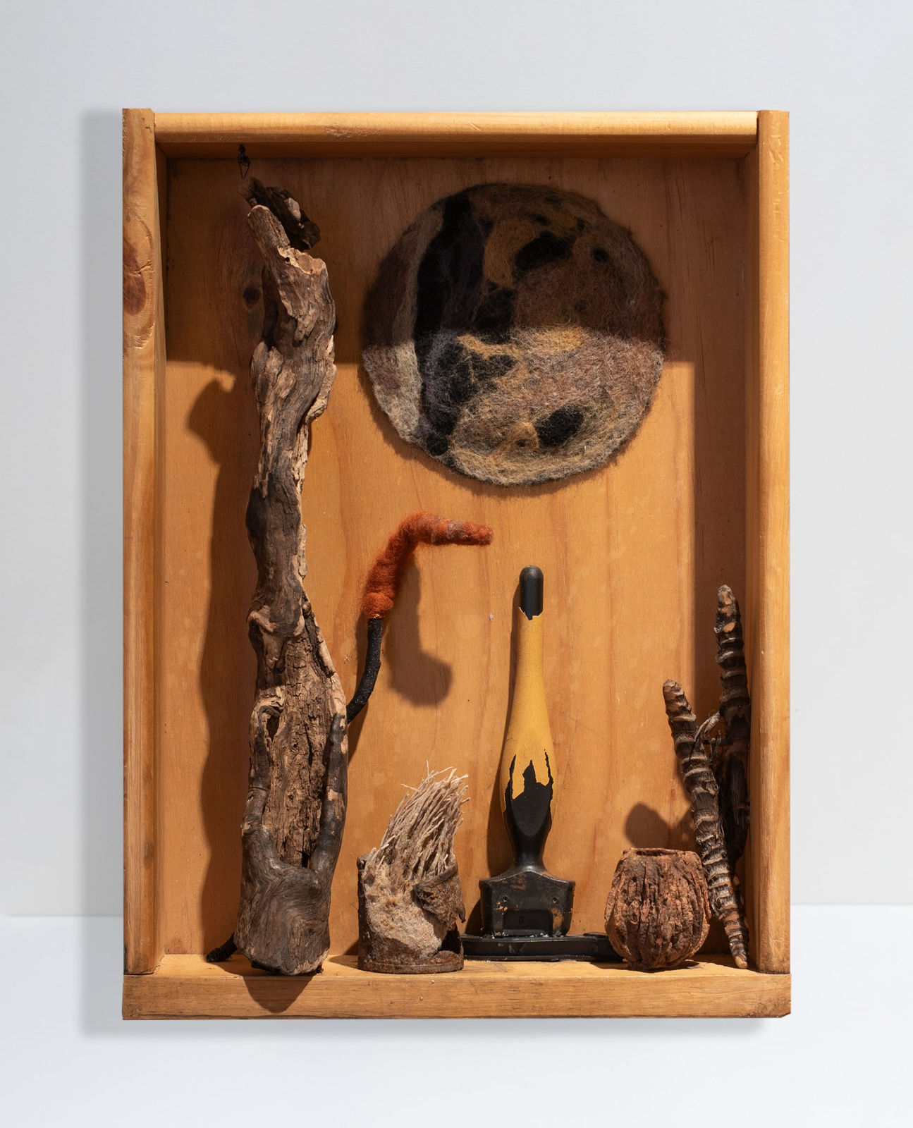 Irene Briant, Echo, 2024