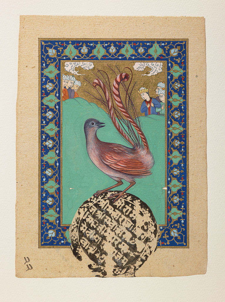 Sue Lovegrove, Superb Lyrebird, Menura novaehollandiae, 2016